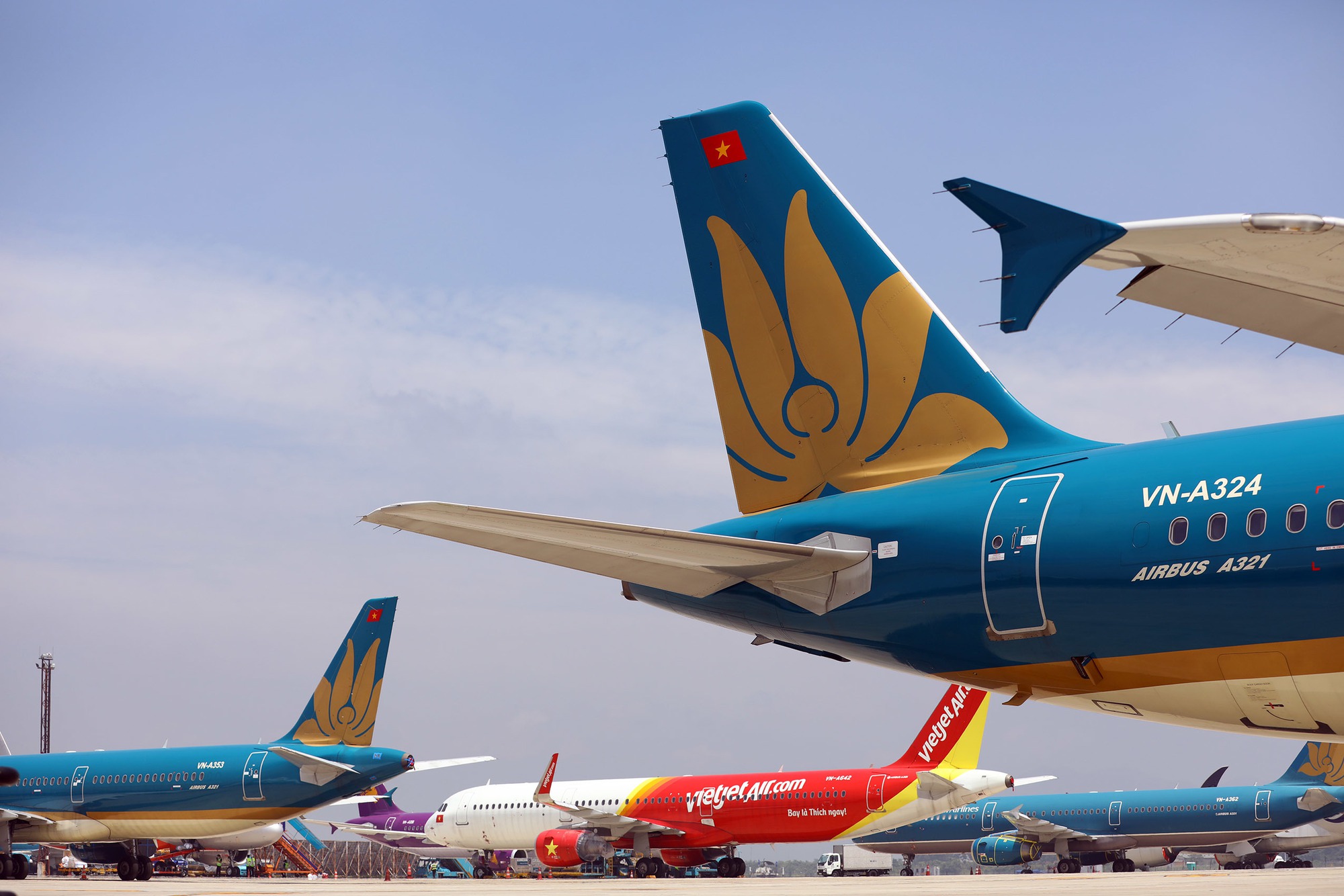 Giảm thiểu c&aacute;c vụ chim va đập v&agrave;o t&agrave;u bay- Ảnh 1.