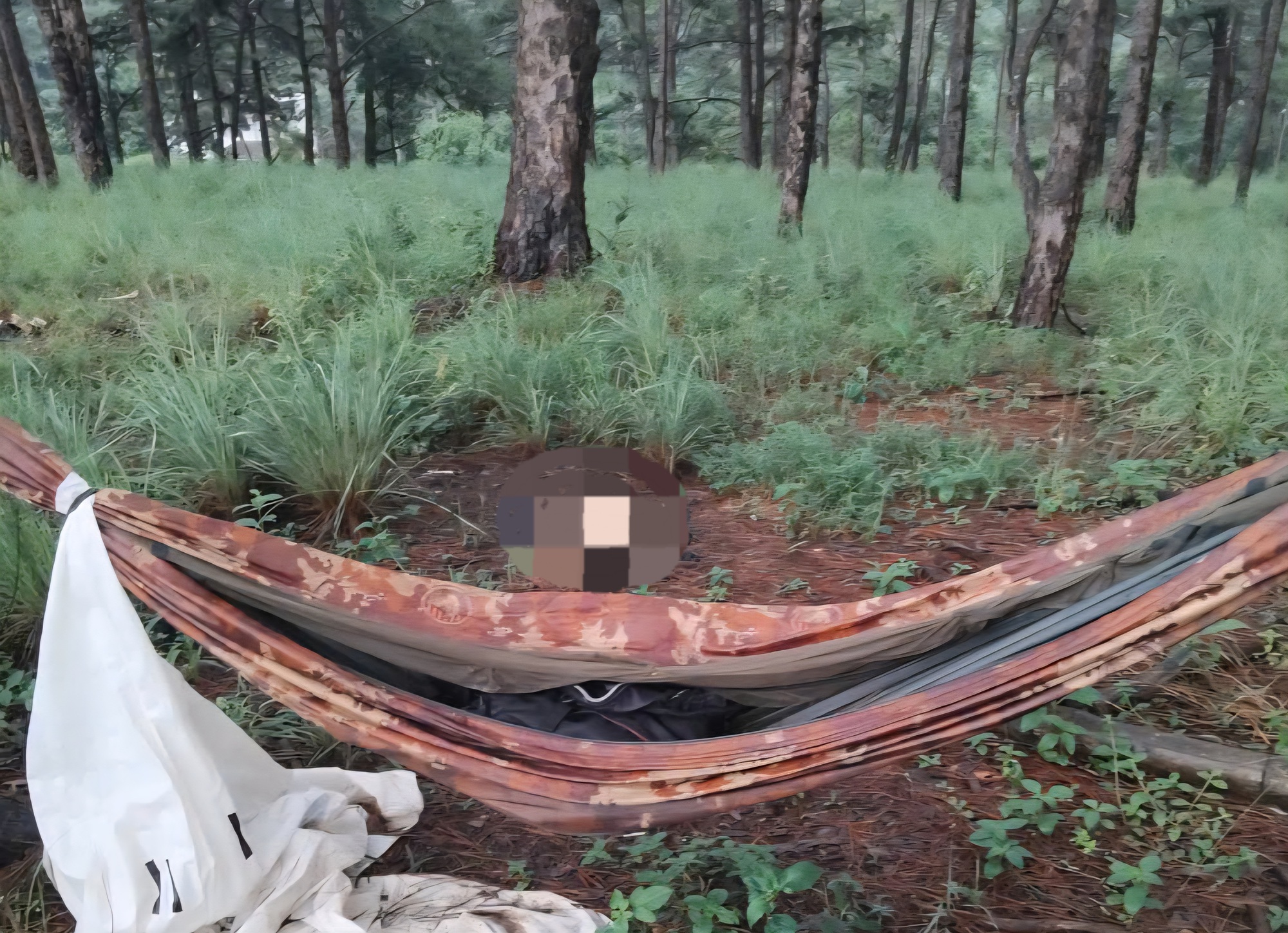 L&acirc;m Đồng: Đang x&aacute;c minh vụ bộ xương người trong rừng th&ocirc;ng- Ảnh 1.