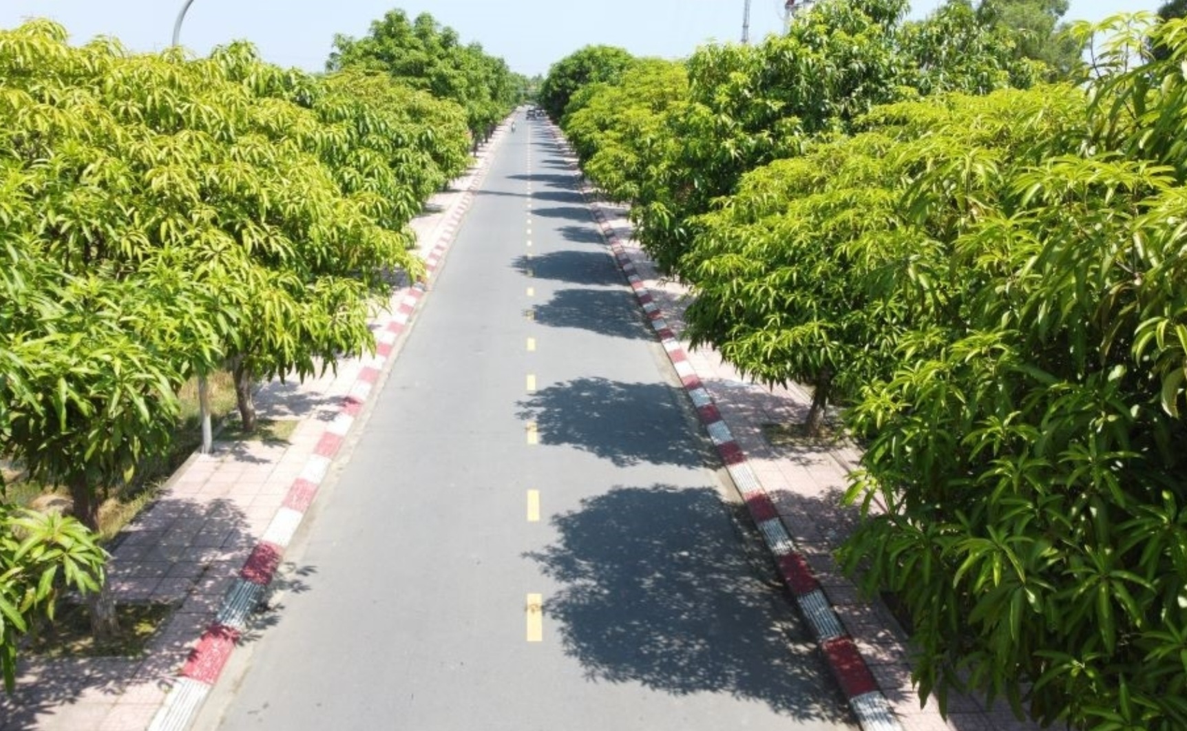 H&agrave; Tĩnh ứng dụng c&ocirc;ng nghệ mới v&agrave; vật liệu mới trong thiết kế, x&acirc;y dựng- Ảnh 3.
