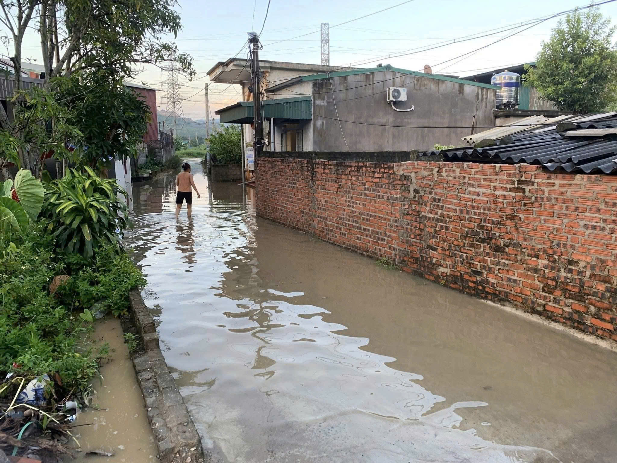 Quảng Ninh: Gần chục hộ d&acirc;n ở phường U&ocirc;ng B&iacute; khốn khổ v&igrave; ngập &uacute;ng- Ảnh 4.