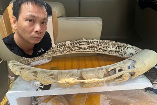 Hà Nội: Khởi tố một bị can vi phạm quy định bảo vệ động vật nguy cấp, quý hiếm- Ảnh 1. Hà Nội: Khởi tố một bị can vi phạm quy định bảo vệ động vật nguy cấp, quý hiếm- Ảnh 1.