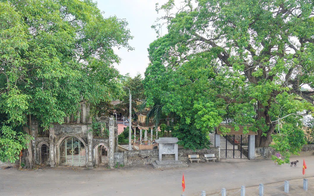 Ninh B&igrave;nh: Di t&iacute;ch lịch sử Khu căn cứ c&aacute;ch mạng Quỳnh Lưu xuống cấp nghi&ecirc;m trọng