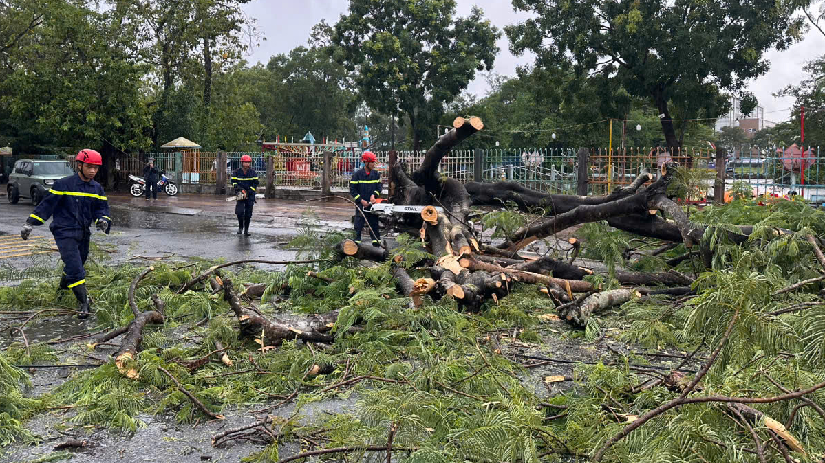 C&acirc;y xanh bật gốc đ&egrave; tr&uacute;ng cặp vợ chồng đi xe m&aacute;y ở C&agrave; Mau- Ảnh 1.