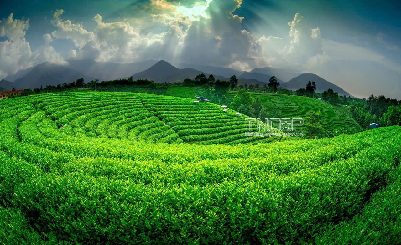 Khi hai mặt nước soi chung bầu trời- Ảnh 9.