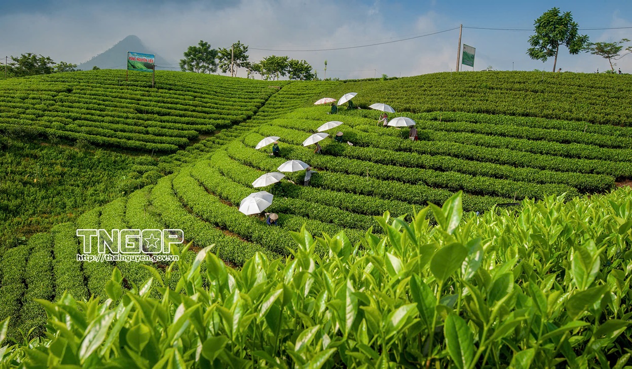 Khi hai mặt nước soi chung bầu trời- Ảnh 10.