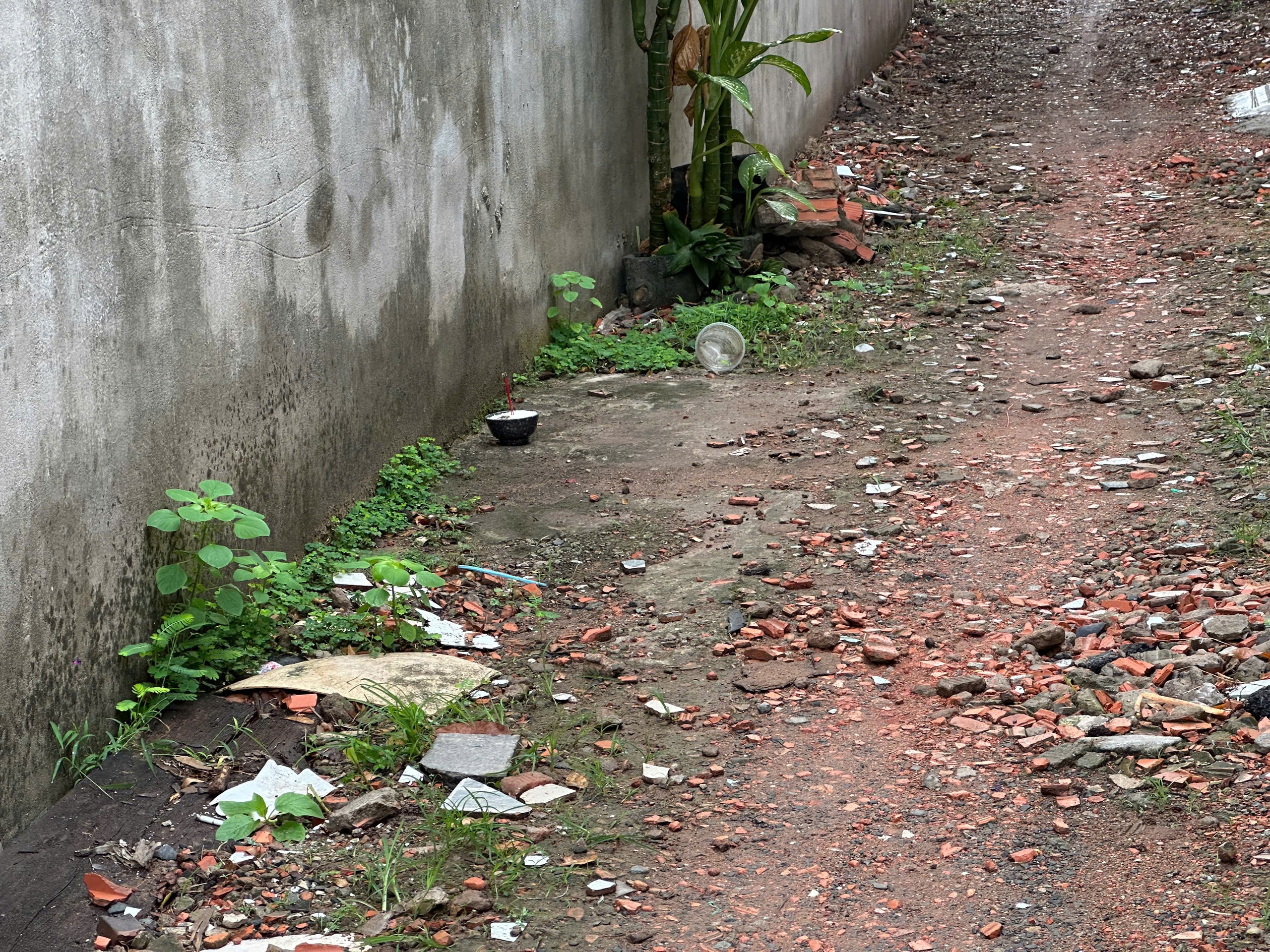 Camera ghi lại ph&uacute;t cuối của t&agrave;i xế xe c&ocirc;ng nghệ bị s&aacute;t hại ở TP.HCM- Ảnh 1.