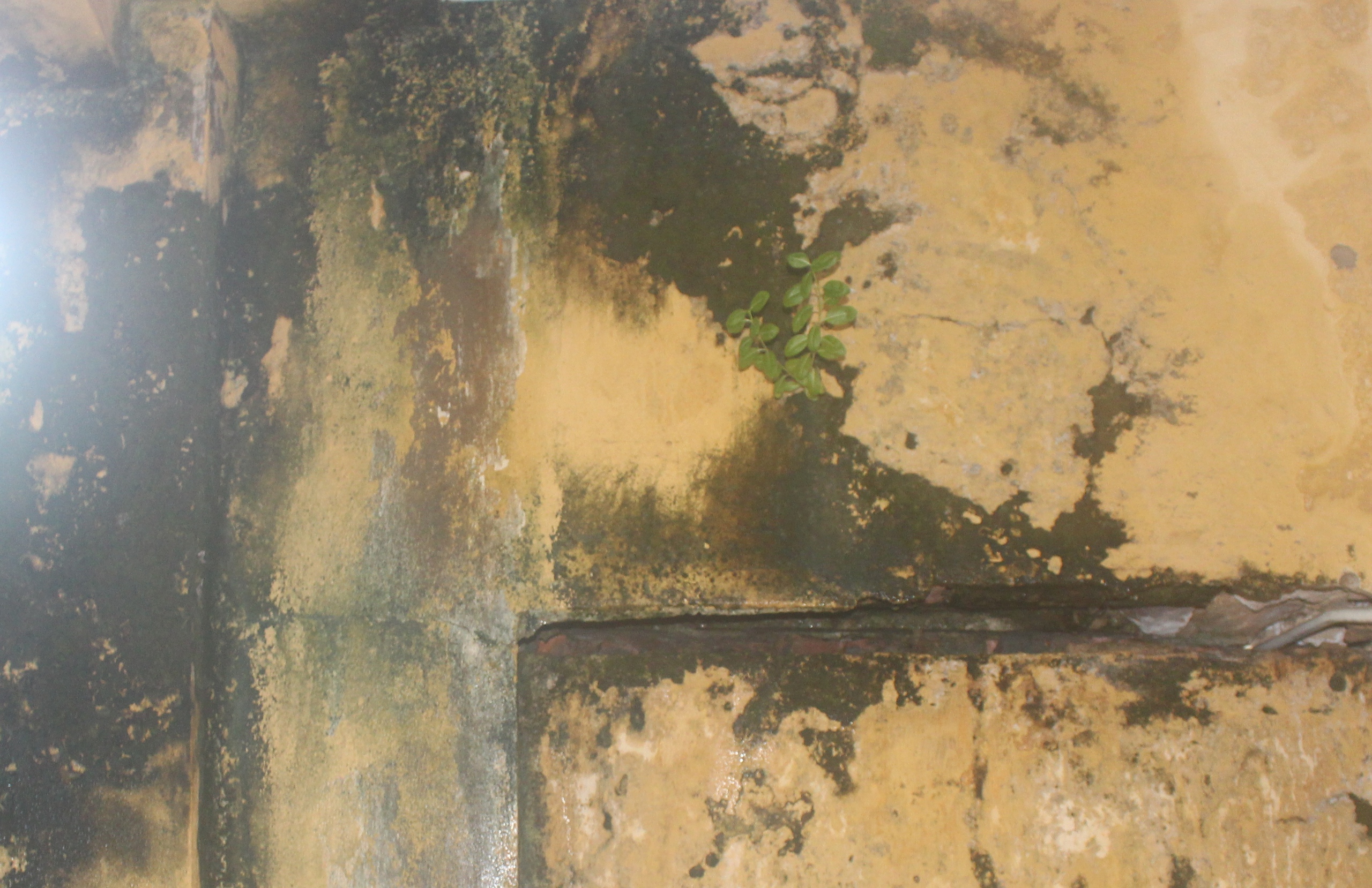 Thanh H&oacute;a: Lớp học nứt to&aacute;c h&agrave;ng trăm học sinh v&agrave; gi&aacute;o vi&ecirc;n lo sợ- Ảnh 6.