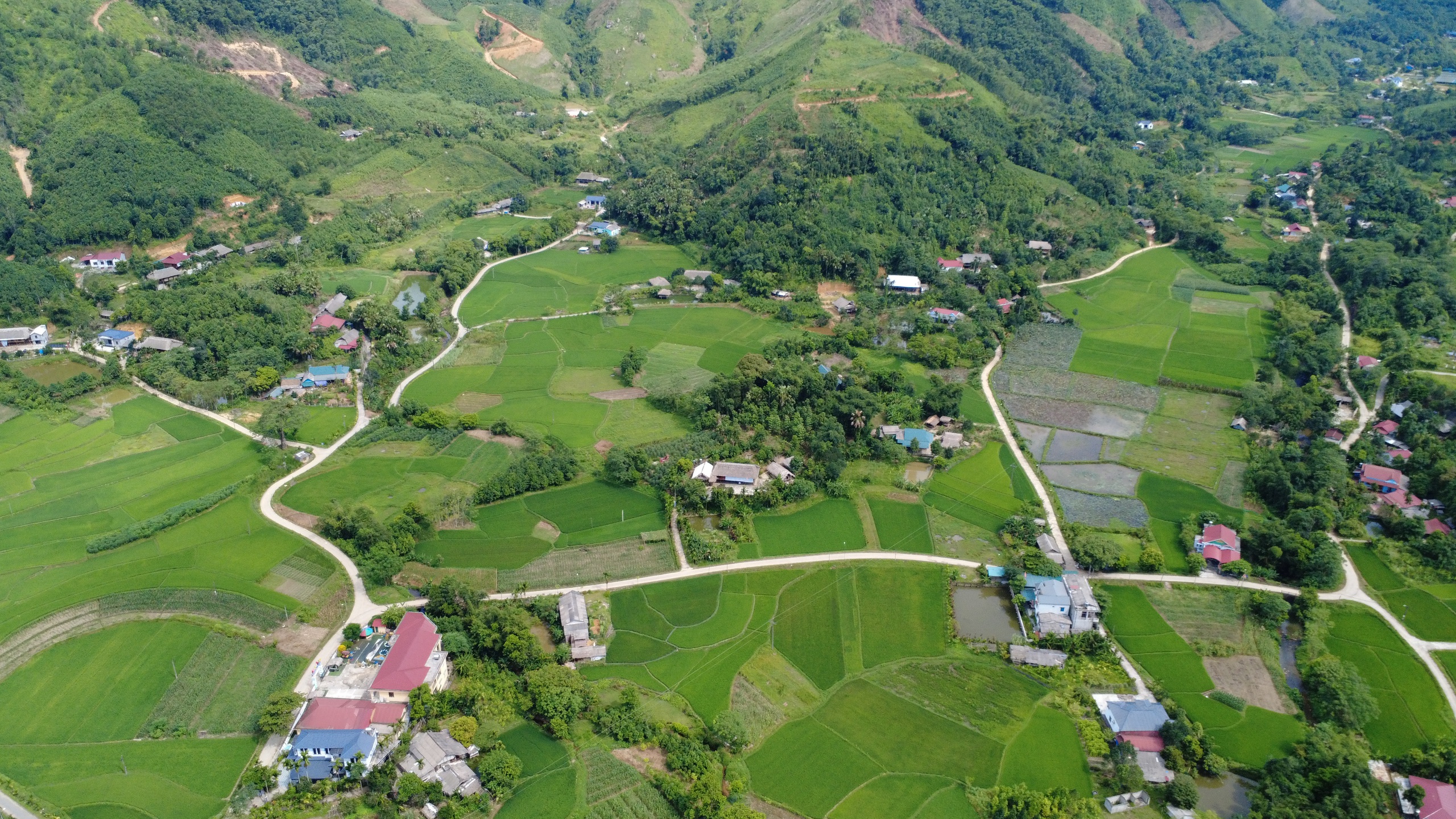 Về nơi Ch&aacute;nh tổng Lương Ca nu&ocirc;i qu&acirc;n trong C&aacute;ch mạng Th&aacute;ng T&aacute;m ở L&agrave;o Cai- Ảnh 7.