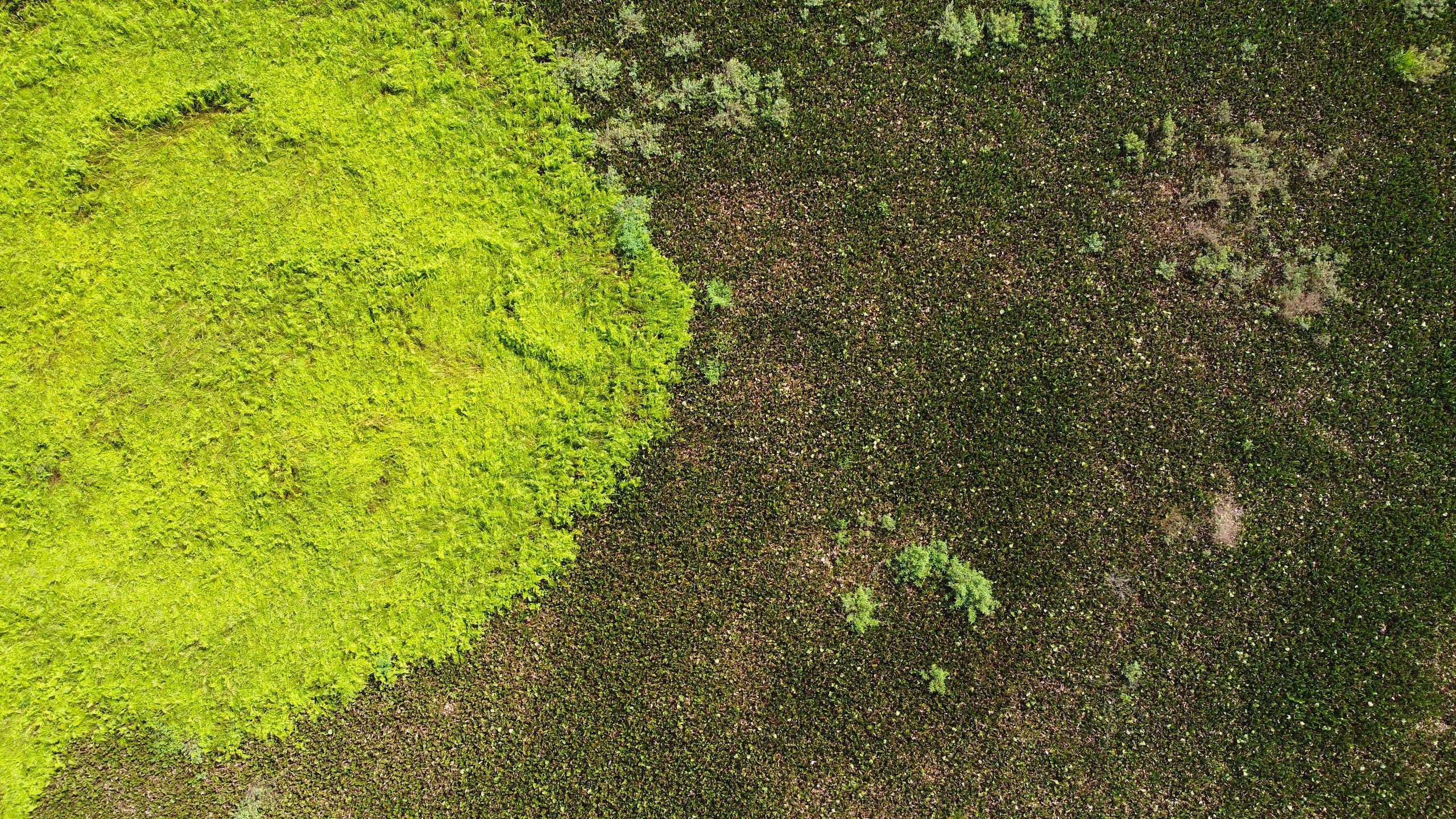 "Hồi sinh" hai hồ điều h&ograve;a lớn nhất Quảng Ng&atilde;i- Ảnh 2.