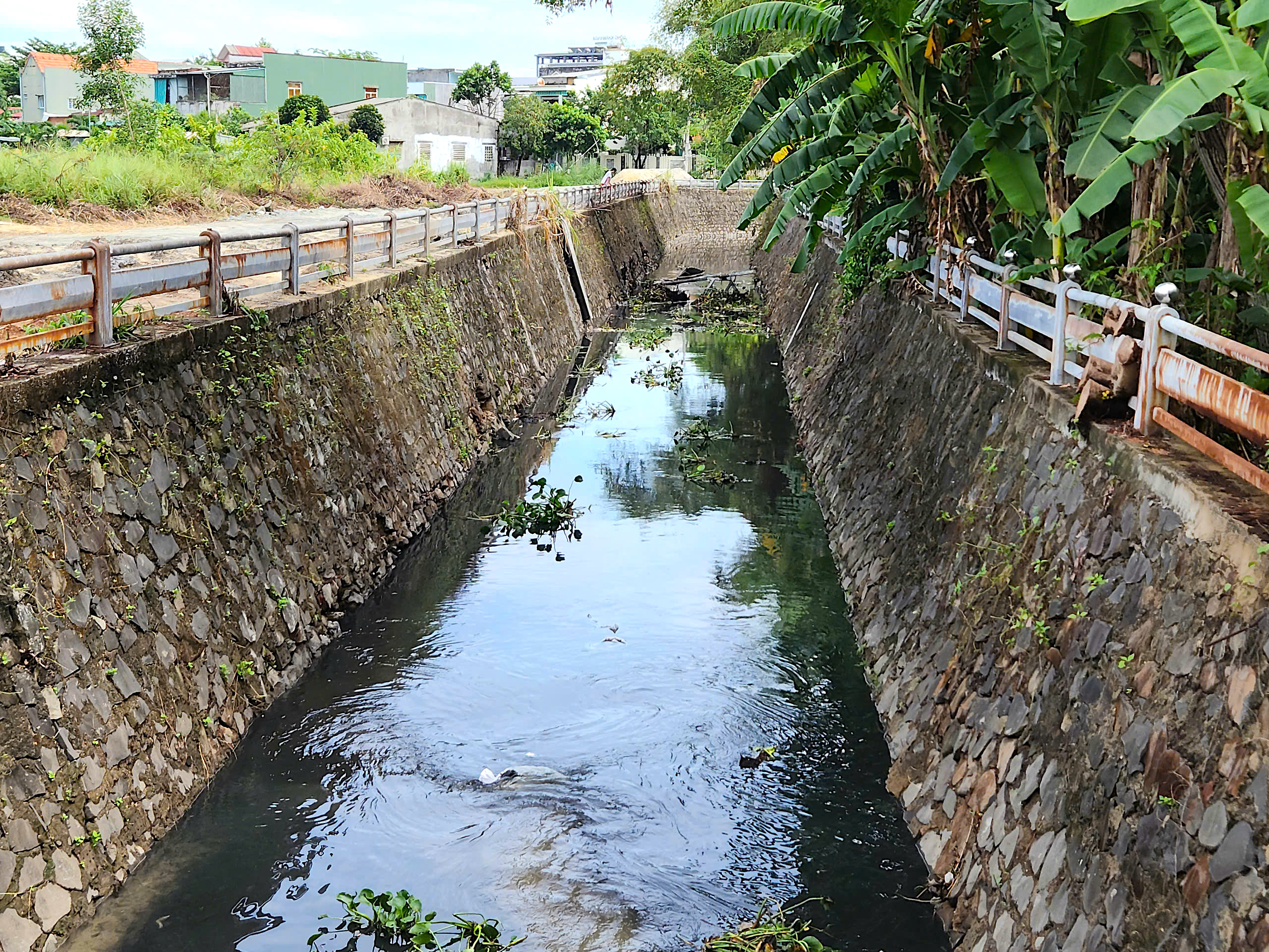 "Hồi sinh" hai hồ điều h&ograve;a lớn nhất Quảng Ng&atilde;i- Ảnh 15.