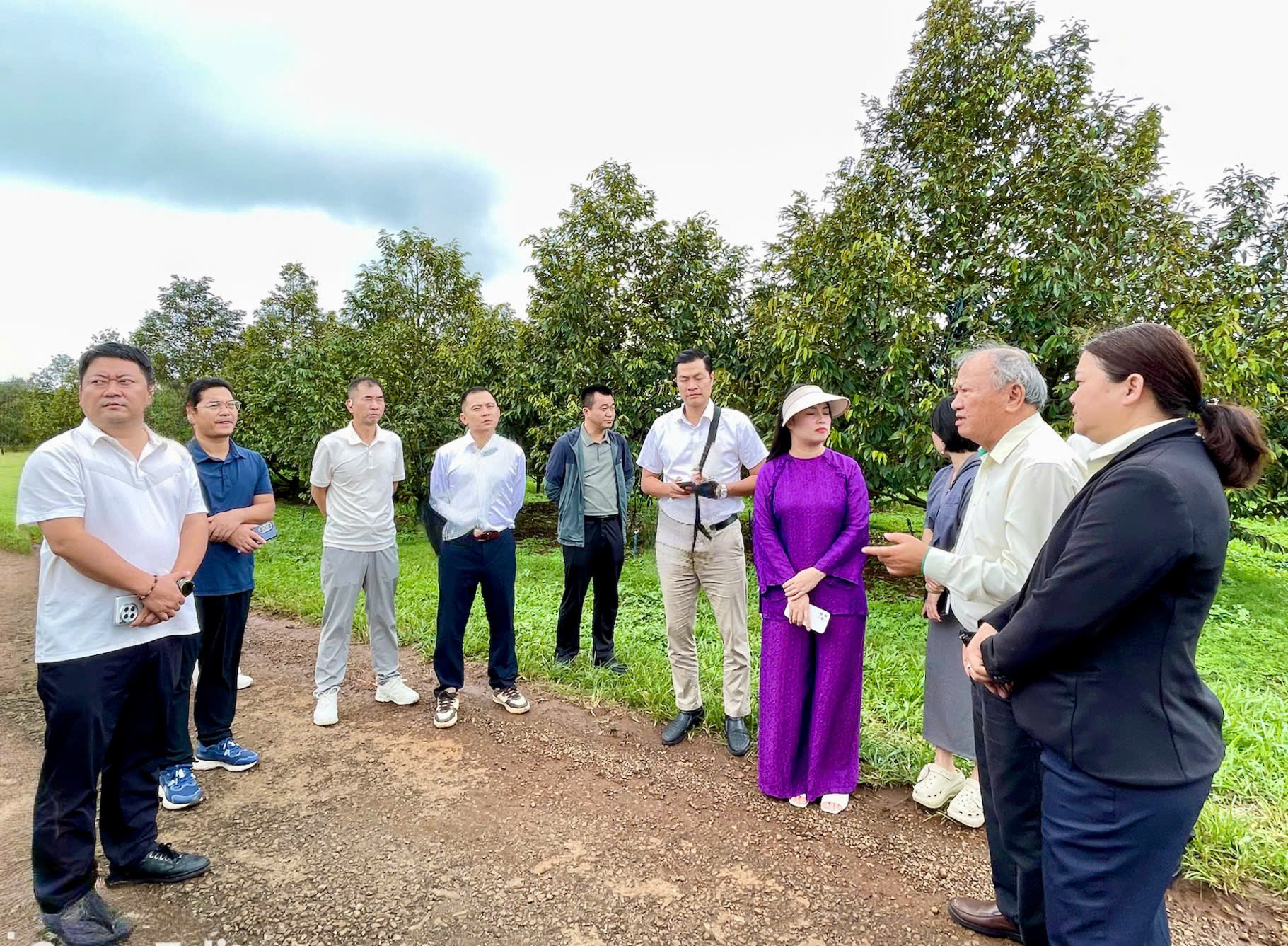 Gia Lai bứt phá với loạt dự án trọng điểm mới- Ảnh 3. Gia Lai bứt phá với loạt dự án trọng điểm mới- Ảnh 3.