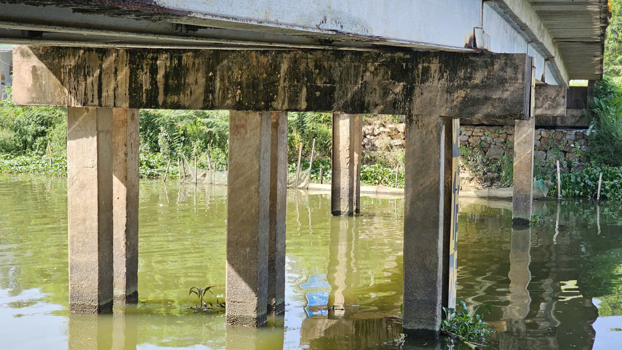 Huế: Hệ thống cầu tr&ecirc;n tuyến tỉnh lộ 3 xuống cấp nghi&ecirc;m trọng- Ảnh 5.