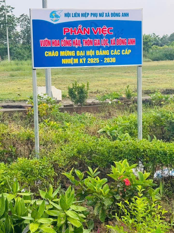 H&agrave; Nội đẹp từ những điều b&igrave;nh dị, văn minh- Ảnh 8.