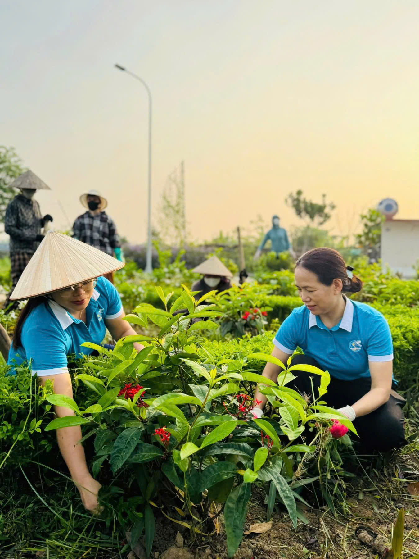 H&agrave; Nội đẹp từ những điều b&igrave;nh dị, văn minh- Ảnh 12.