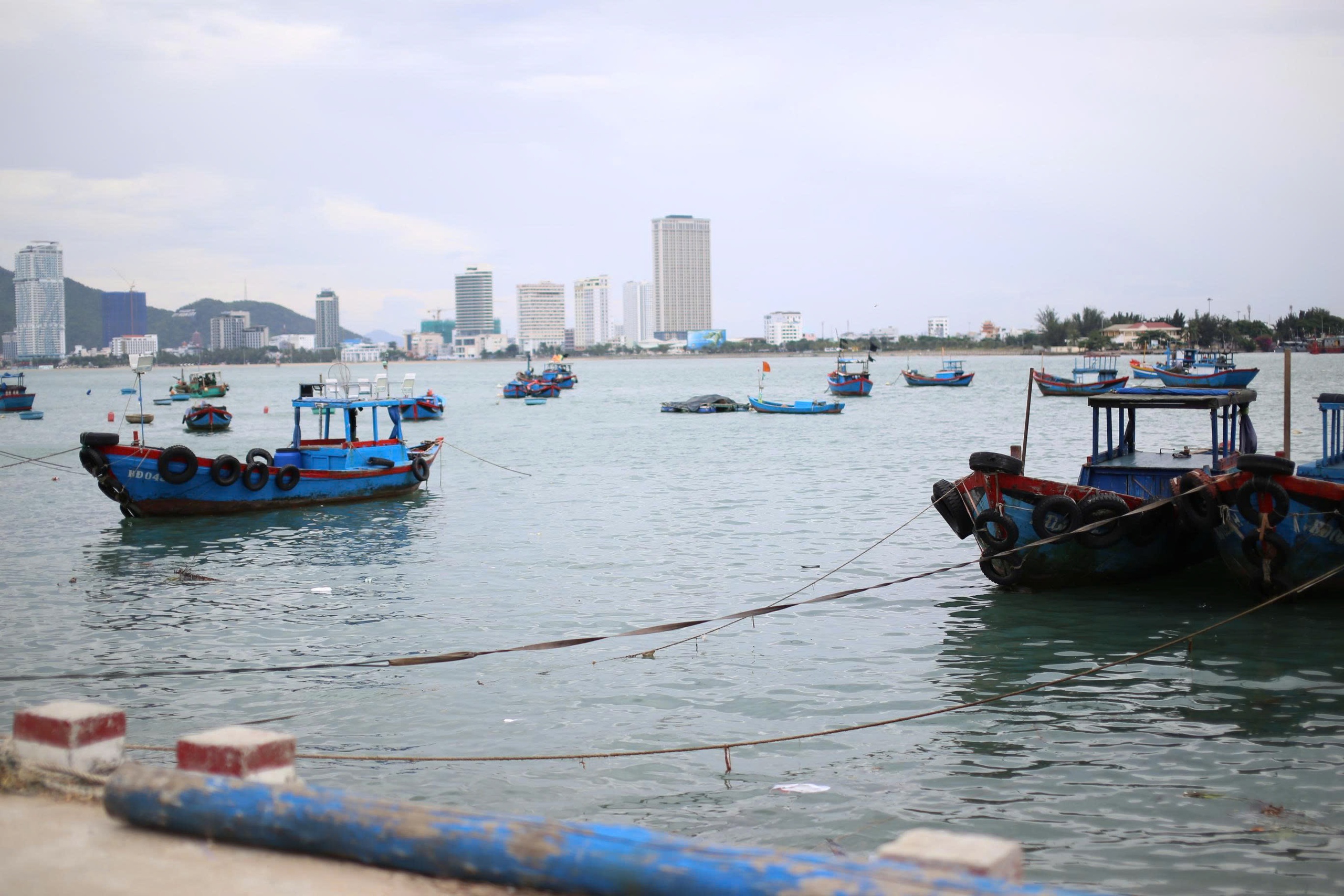 Giếng nhiễm mặn, h&agrave;ng trăm hộ d&acirc;n v&ugrave;ng ốc đảo ở Quy Nhơn kh&aacute;t nước sạch- Ảnh 10.