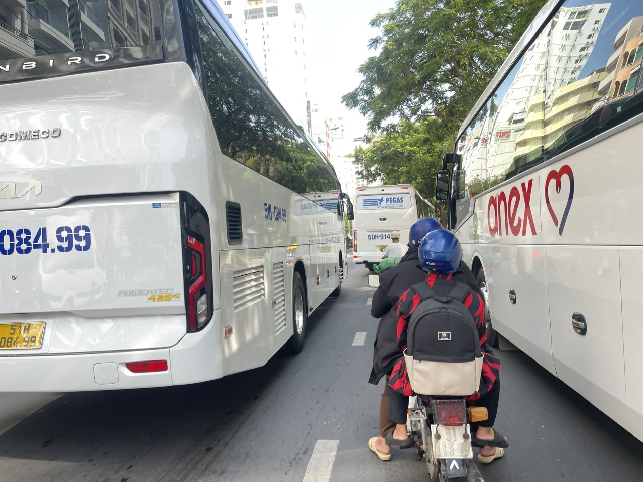 Kh&aacute;nh H&ograve;a: &Ocirc; t&ocirc; nối nhau dừng trả kh&aacute;ch bất chấp biển cấm g&acirc;y &aacute;ch tắc đường ven biển- Ảnh 1.