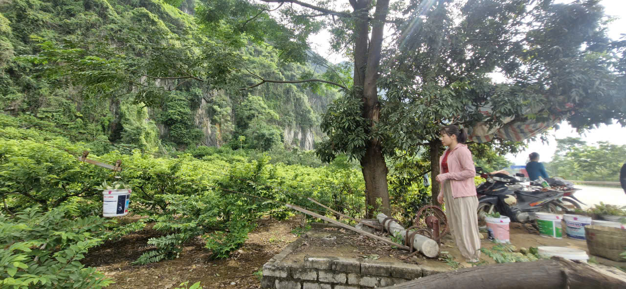 Na vào chính vụ, CSGT Lạng Sơn tất bật hỗ trợ người dân tiêu thụ- Ảnh 4. Na vào chính vụ, CSGT Lạng Sơn tất bật hỗ trợ người dân tiêu thụ- Ảnh 4.