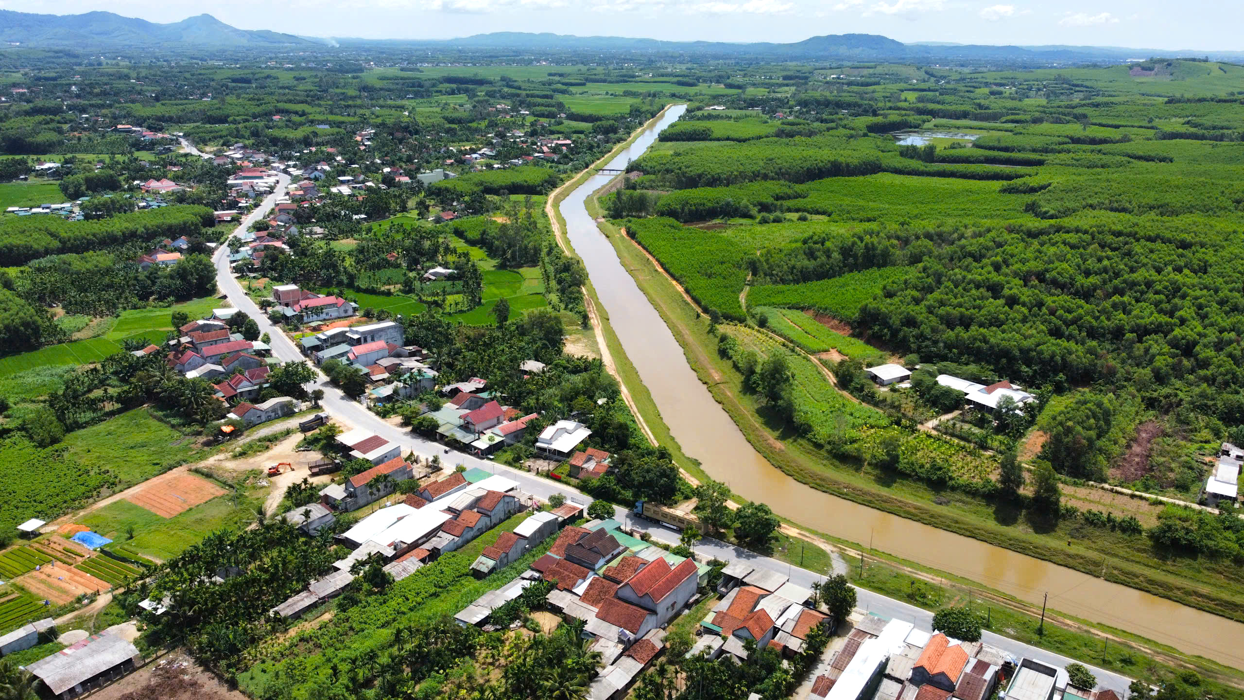 Từ TP.HCM ra Quảng Ngãi đấu giá trúng 16 lô đất rồi bỏ cọc- Ảnh 3.