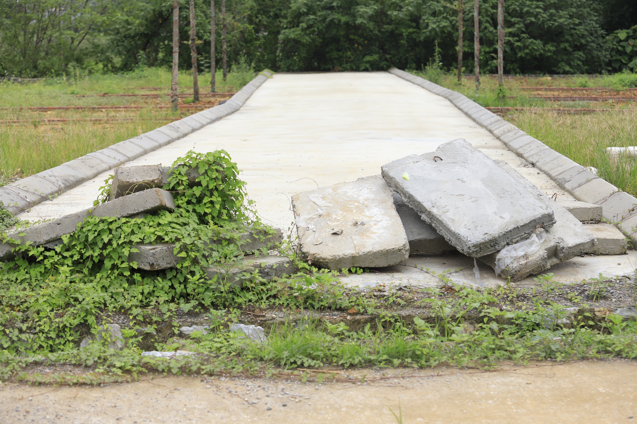 Hà Nội: "Cò" tung tin Tập đoàn T&T đầu tư dự án để "thổi" giá, bán đất Hòa Lạc- Ảnh 2. Hà Nội: "Cò" tung tin Tập đoàn T&T đầu tư dự án để "thổi" giá, bán đất Hòa Lạc- Ảnh 2.