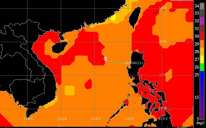 Thủ tướng chỉ đạo ứng ph&oacute; b&atilde;o số 5 ở mức cao nhất, bảo đảm an to&agrave;n t&iacute;nh mạng nh&acirc;n d&acirc;n