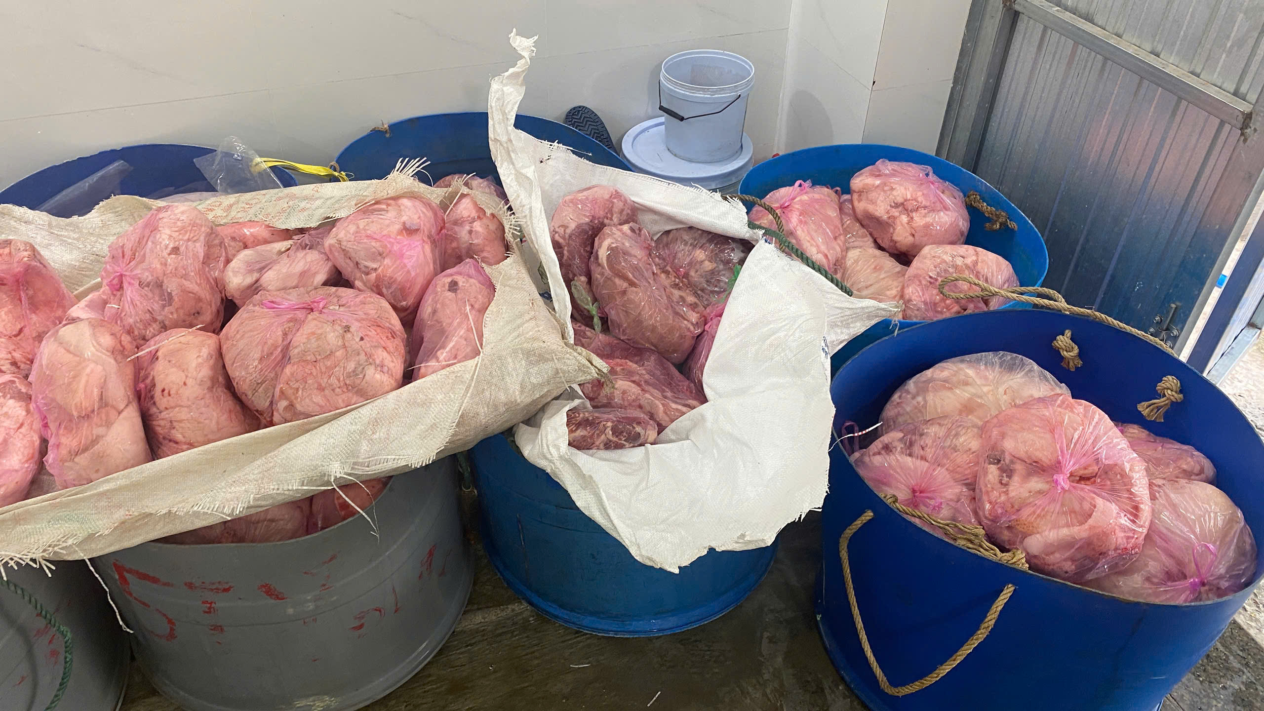 Gia Lai: Tiêu hủy hơn 1 tấn thịt heo và chả ram không rõ nguồn gốc- Ảnh 1. Gia Lai: Tiêu hủy hơn 1 tấn thịt heo và chả ram không rõ nguồn gốc- Ảnh 1.