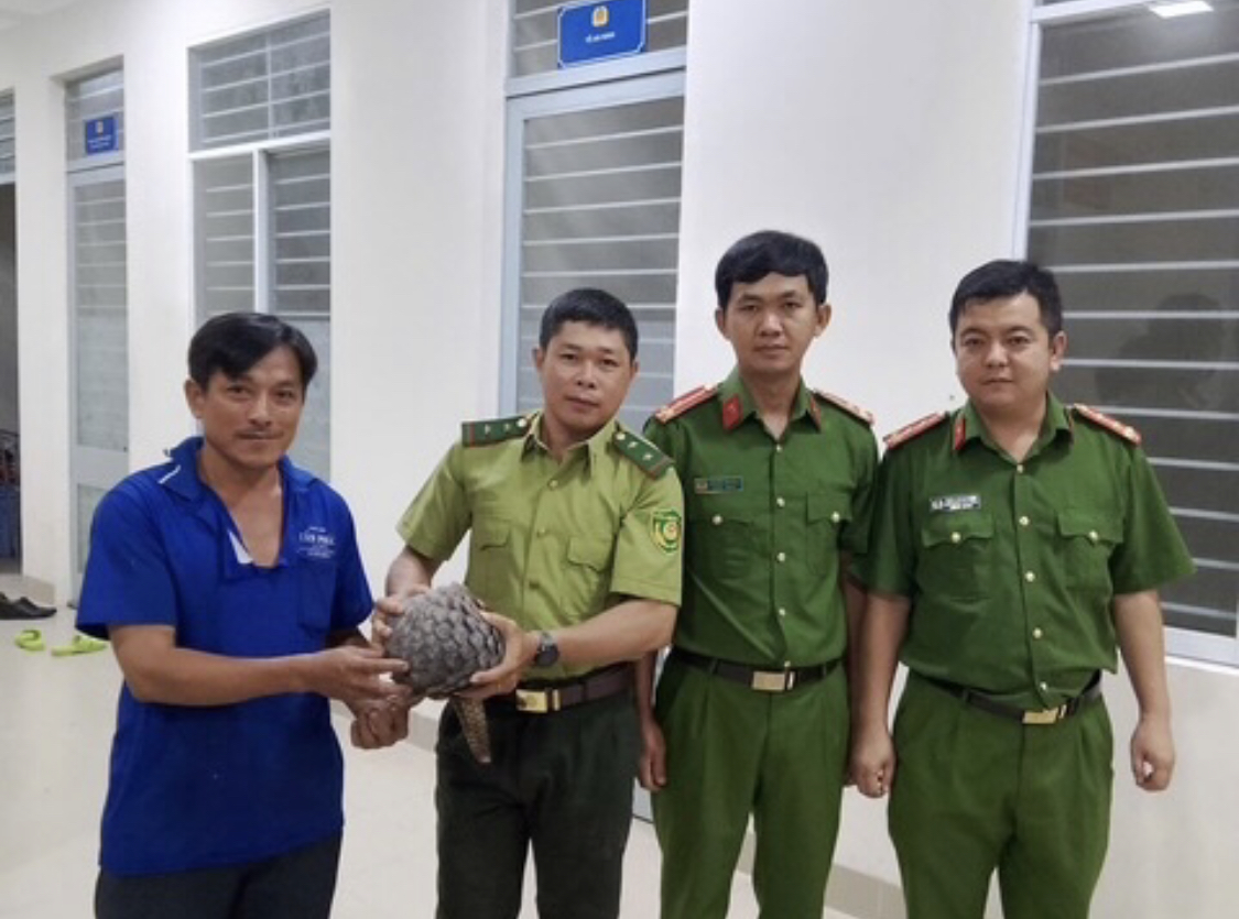 Người d&acirc;n ở T&acirc;y Ninh giao nộp t&ecirc; t&ecirc; qu&yacute; hiếm cho cơ quan chức năng- Ảnh 1.