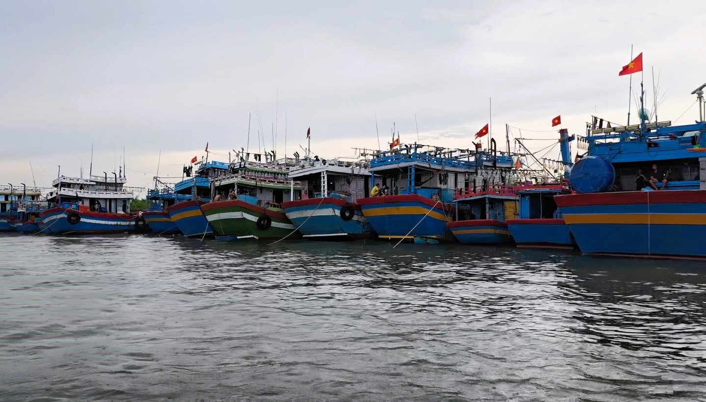 Quảng Trị: T&agrave;u thuyền về bến neo đậu, người d&acirc;n "gặt chạy b&atilde;o" chằng chống nh&agrave; cửa- Ảnh 12.