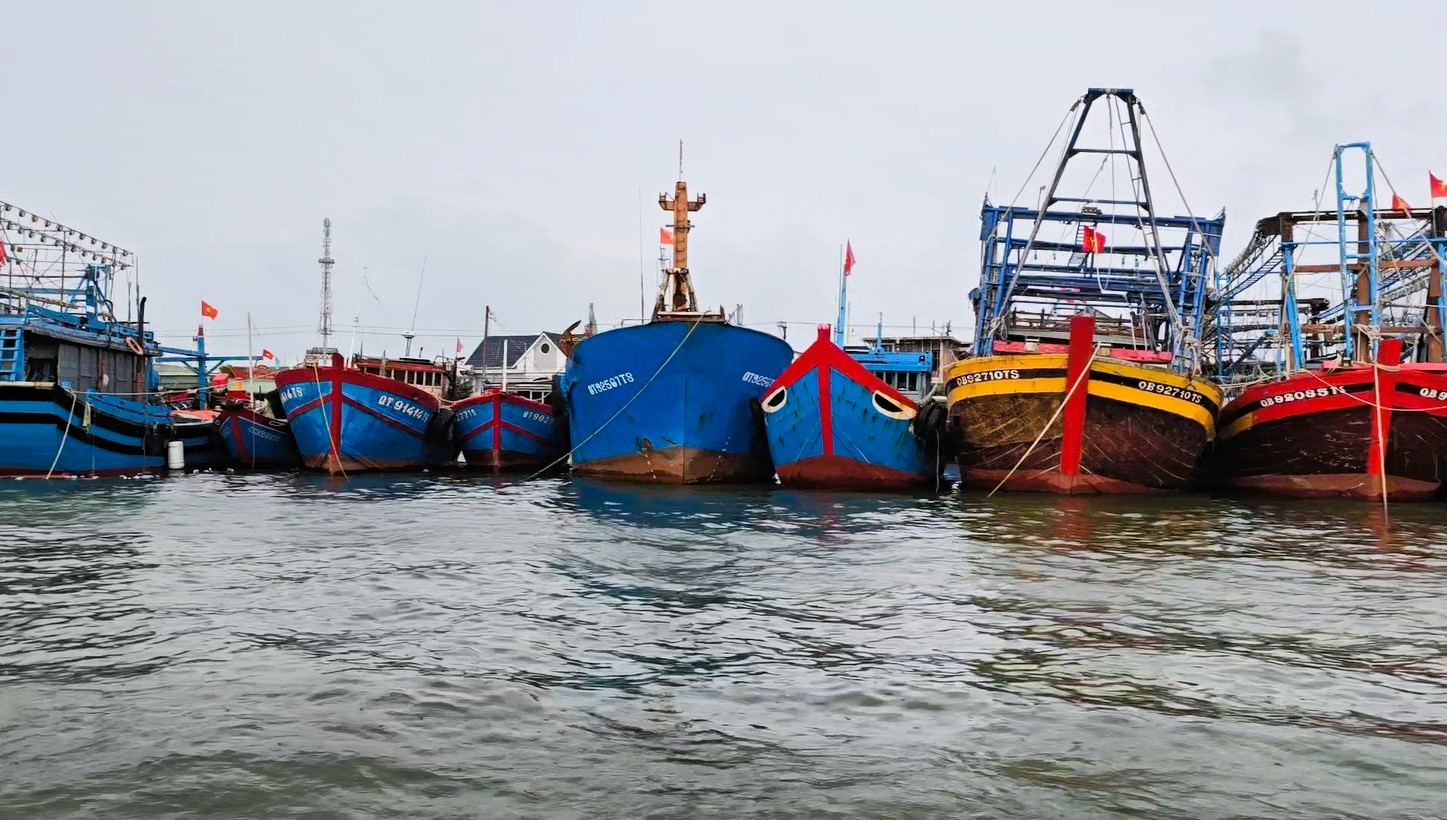 Quảng Trị: T&agrave;u thuyền về bến neo đậu, người d&acirc;n "gặt chạy b&atilde;o" chằng chống nh&agrave; cửa- Ảnh 2.