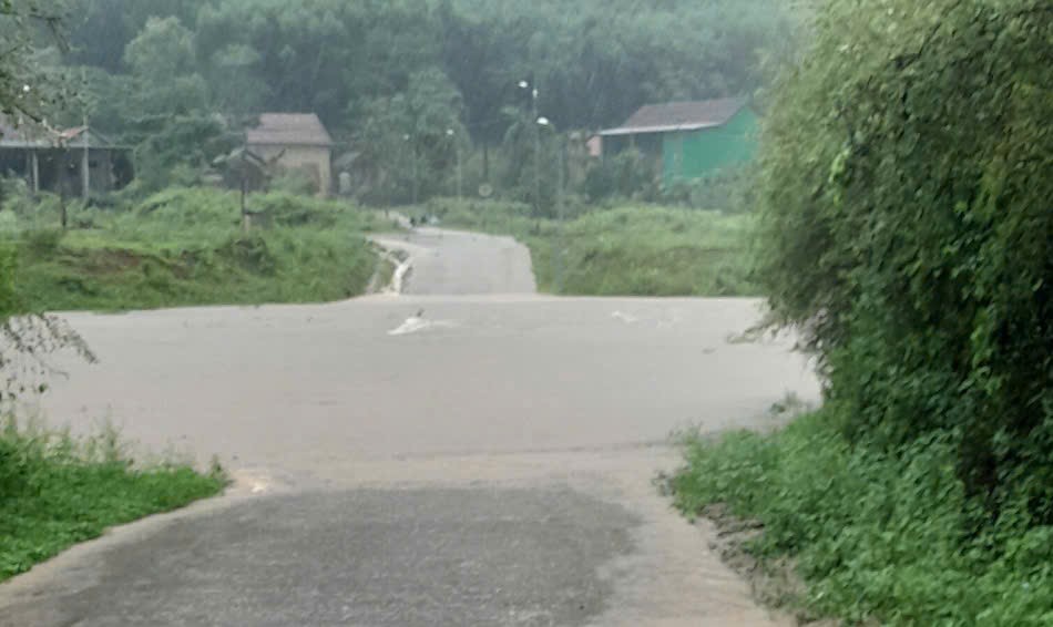 B&atilde;o số 5 quần thảo Nghệ An, đường phố Cửa L&ograve; ngập s&acirc;u, nhiều c&acirc;y xanh g&atilde;y đổ- Ảnh 42.