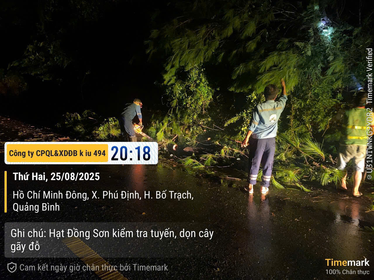 H&agrave; Tĩnh - Nghệ An: Xuy&ecirc;n đ&ecirc;m dọn c&acirc;y đổ, khơi th&ocirc;ng giao th&ocirc;ng sau b&atilde;o số 5- Ảnh 5.
