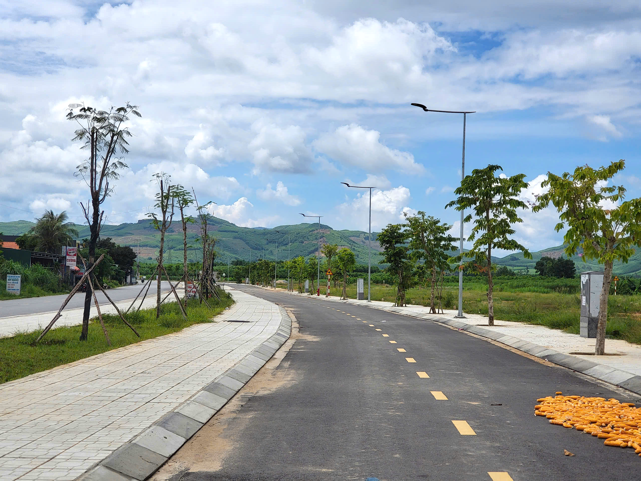 Từ TP.HCM ra Quảng Ngãi đấu giá trúng 16 lô đất rồi bỏ cọc- Ảnh 4.