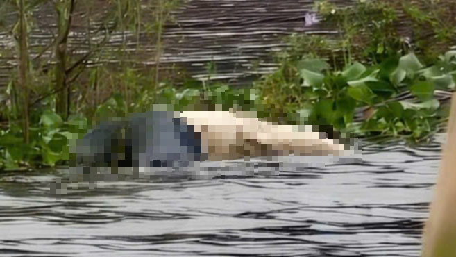 Bắc Ninh: Ph&aacute;t hiện thi thể 2 thiếu nữ dưới ao, để lại tin nhắn cho gia đ&igrave;nh- Ảnh 1.