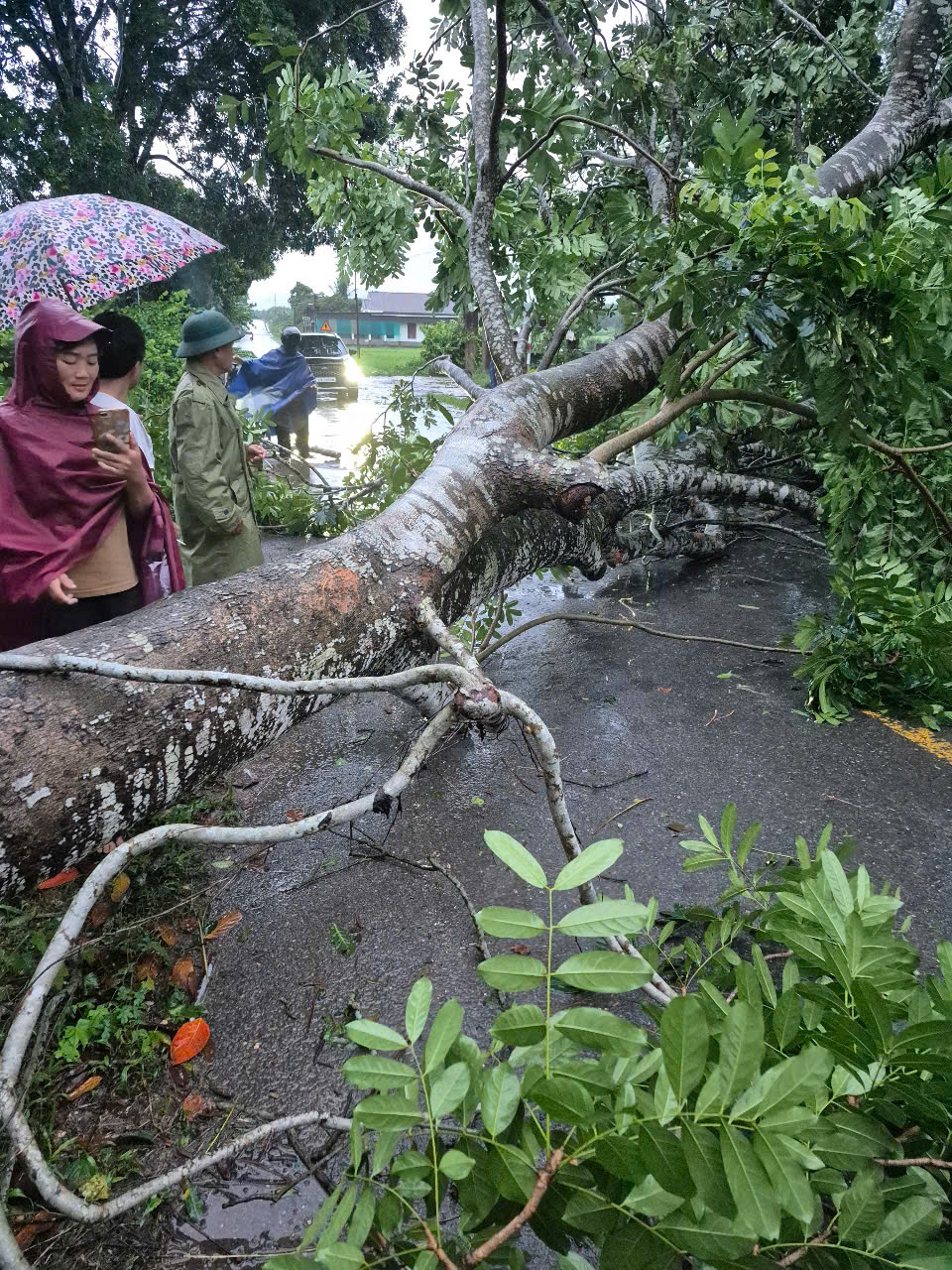 Những thiệt hại ban đầu khi b&atilde;o số 5 đi qua- Ảnh 11.