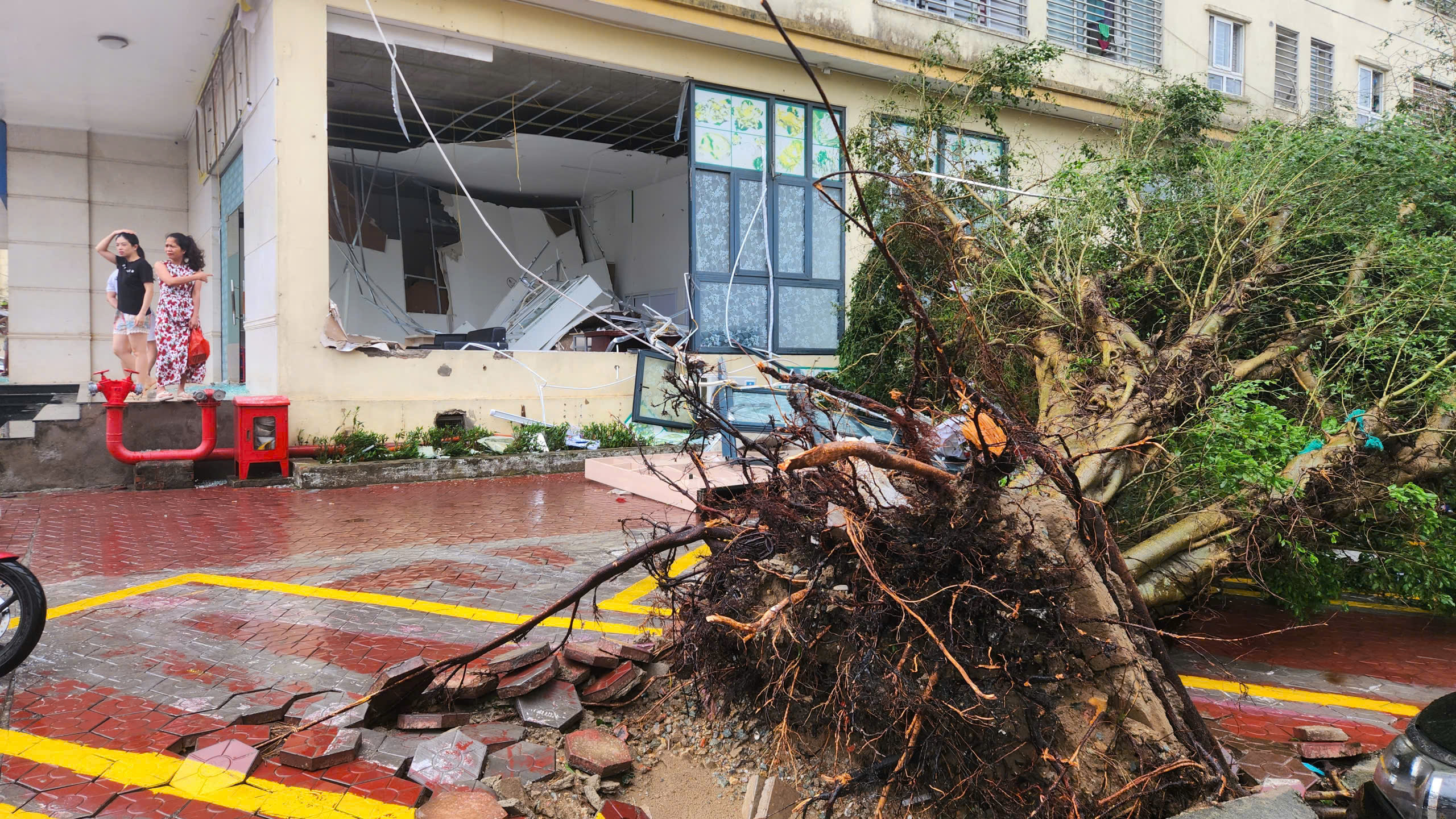 Những thiệt hại ban đầu khi b&atilde;o số 5 đi qua- Ảnh 13.