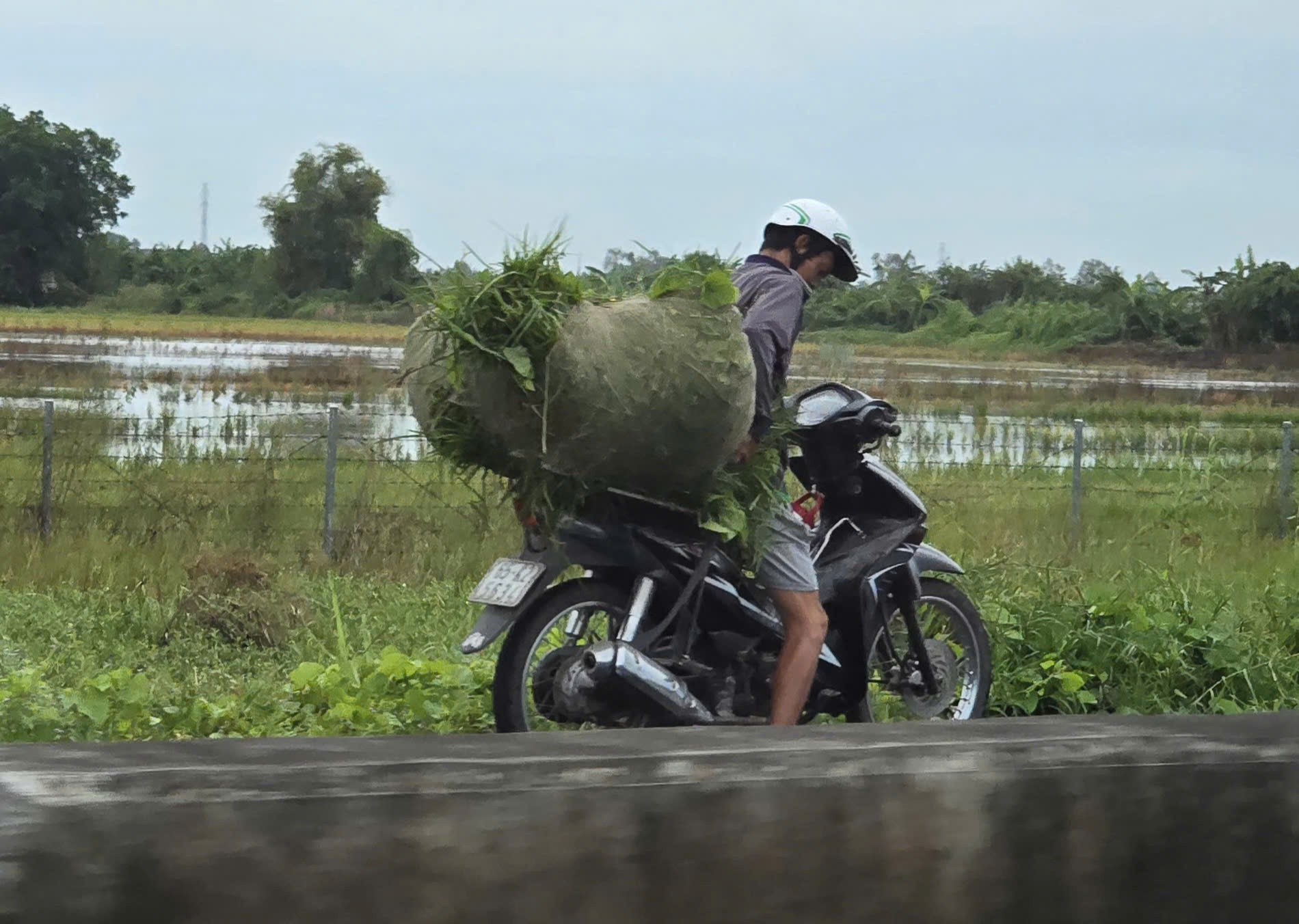 Ngăn chặn xe máy xâm nhập vào tuyến Lộ Tẻ - Rạch Sỏi- Ảnh 3. Ngăn chặn xe máy xâm nhập vào tuyến Lộ Tẻ - Rạch Sỏi- Ảnh 3.