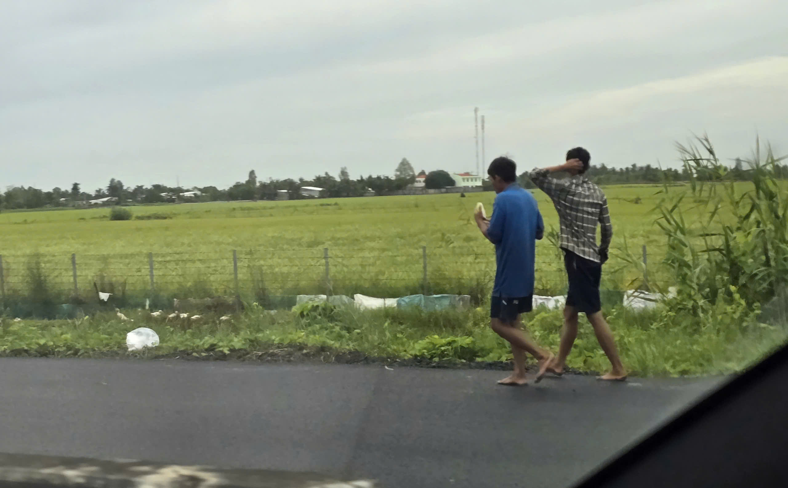 Ngăn chặn xe máy xâm nhập vào tuyến Lộ Tẻ - Rạch Sỏi- Ảnh 5. Ngăn chặn xe máy xâm nhập vào tuyến Lộ Tẻ - Rạch Sỏi- Ảnh 5.