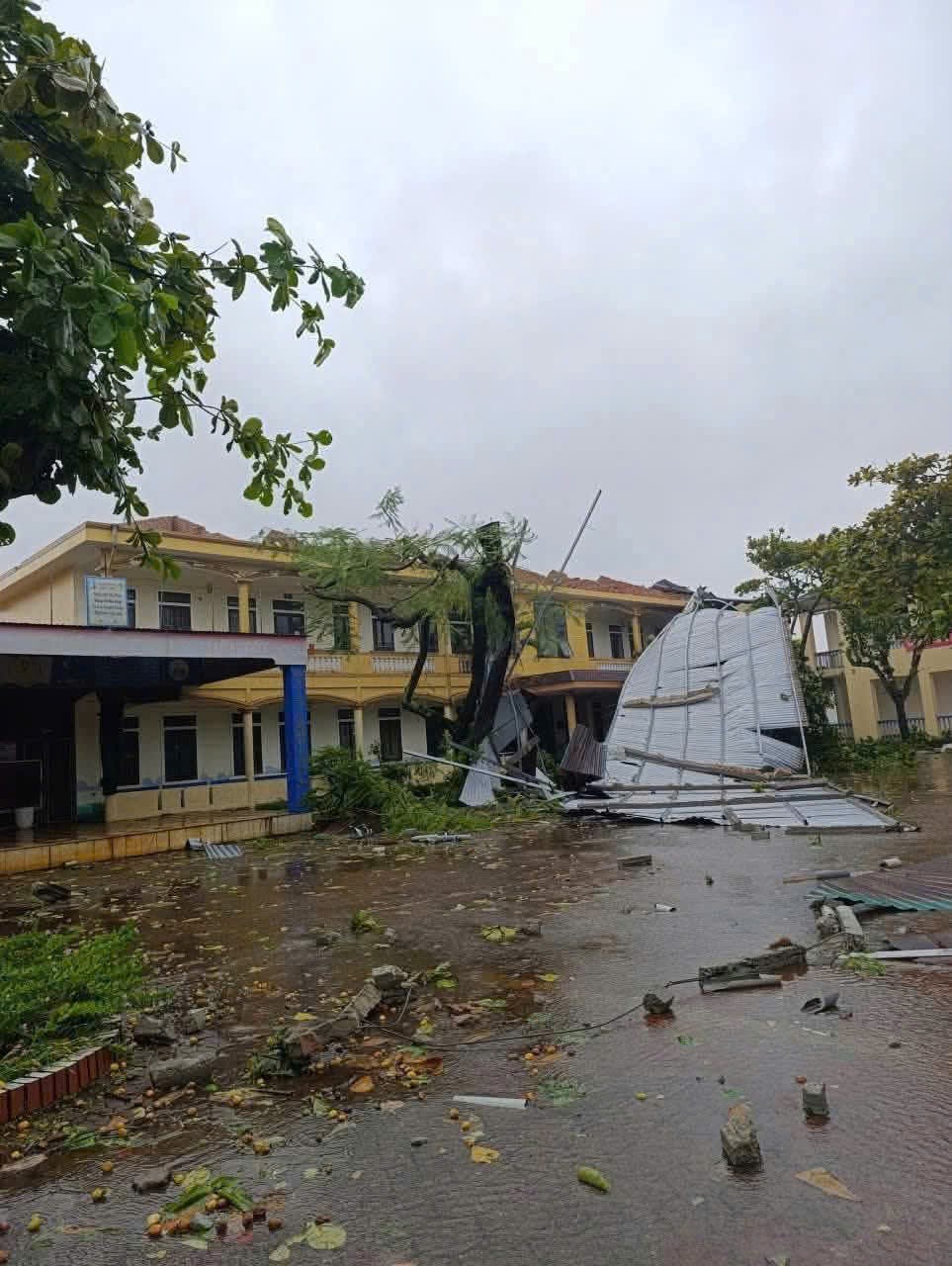 H&agrave; Tĩnh: Hơn 6.300 ng&ocirc;i nh&agrave; bị tốc m&aacute;i, hoa m&agrave;u hư hại, t&agrave;u thuyền bị ch&igrave;m- Ảnh 7.