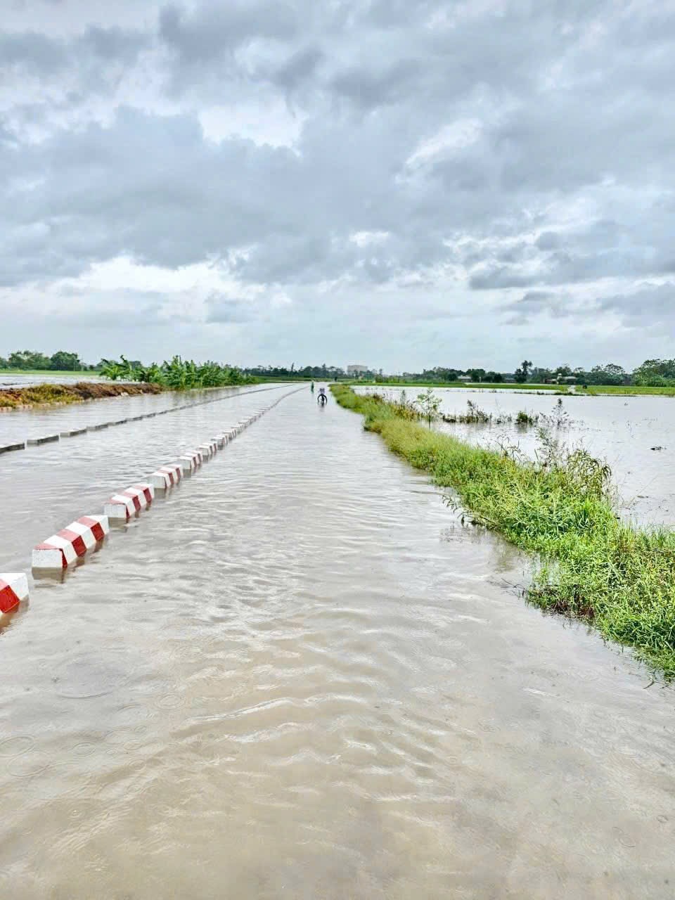H&agrave; Nội: V&ugrave;ng ven đ&ocirc; nước ngập trắng trời, ch&iacute;nh quyền chủ động hỗ trợ người d&acirc;n- Ảnh 16.