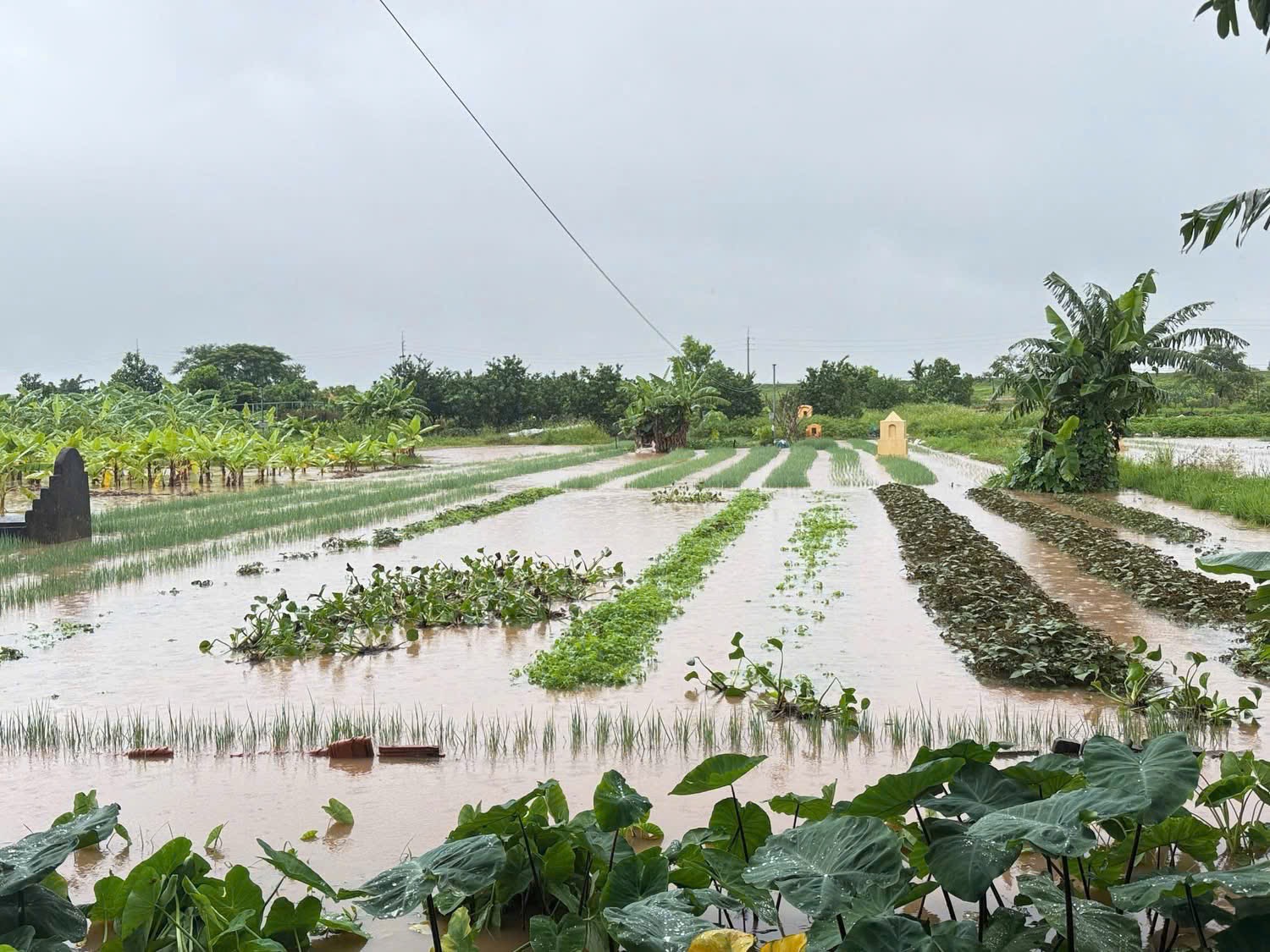H&agrave; Nội: V&ugrave;ng ven đ&ocirc; nước ngập trắng trời, ch&iacute;nh quyền chủ động hỗ trợ người d&acirc;n- Ảnh 2.