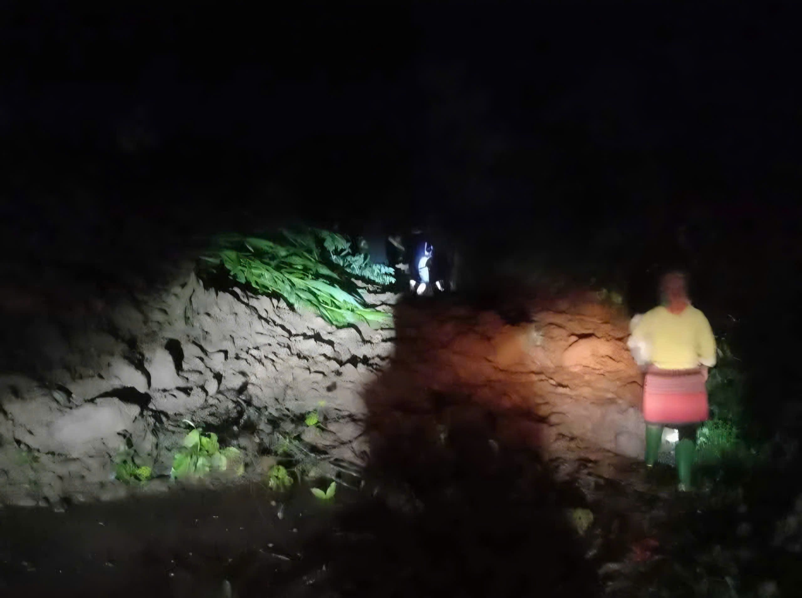 Kh&ocirc;ng quản hiểm nguy dầm mưa vượt lũ, gi&uacute;p d&acirc;n khắc phục hậu quả b&atilde;o lũ ở L&agrave;o Cai- Ảnh 1.