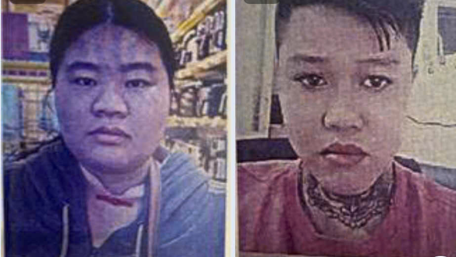 Lừa vay vốn ảo 60 triệu đồng, hai cựu nh&acirc;n vi&ecirc;n một c&ocirc;ng ty t&agrave;i ch&iacute;nh bị c&ocirc;ng an truy t&igrave;m- Ảnh 1.