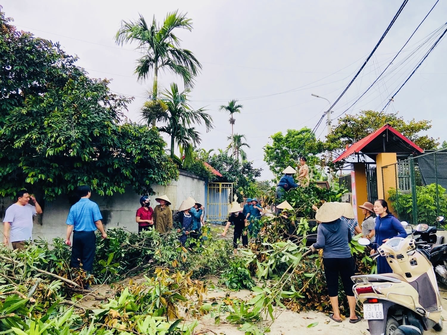 Hà Nội: Xã ven đô khắc phục hậu quả giông lốc khiến cây đổ ngổn ngang, nhà tốc mái- Ảnh 16. Hà Nội: Xã ven đô khắc phục hậu quả giông lốc khiến cây đổ ngổn ngang, nhà tốc mái- Ảnh 16.