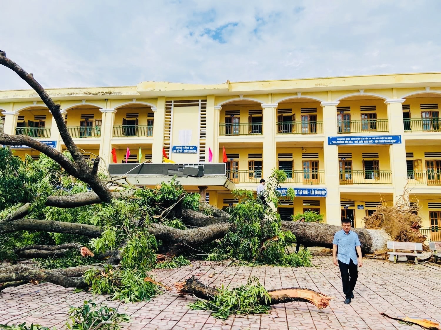 Hà Nội: Xã ven đô khắc phục hậu quả giông lốc khiến cây đổ ngổn ngang, nhà tốc mái- Ảnh 12. Hà Nội: Xã ven đô khắc phục hậu quả giông lốc khiến cây đổ ngổn ngang, nhà tốc mái- Ảnh 12.