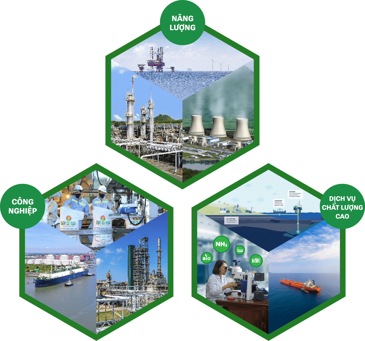 Petrovietnam - Biểu tượng bản lĩnh v&agrave; kh&aacute;t vọng Việt Nam- Ảnh 5.