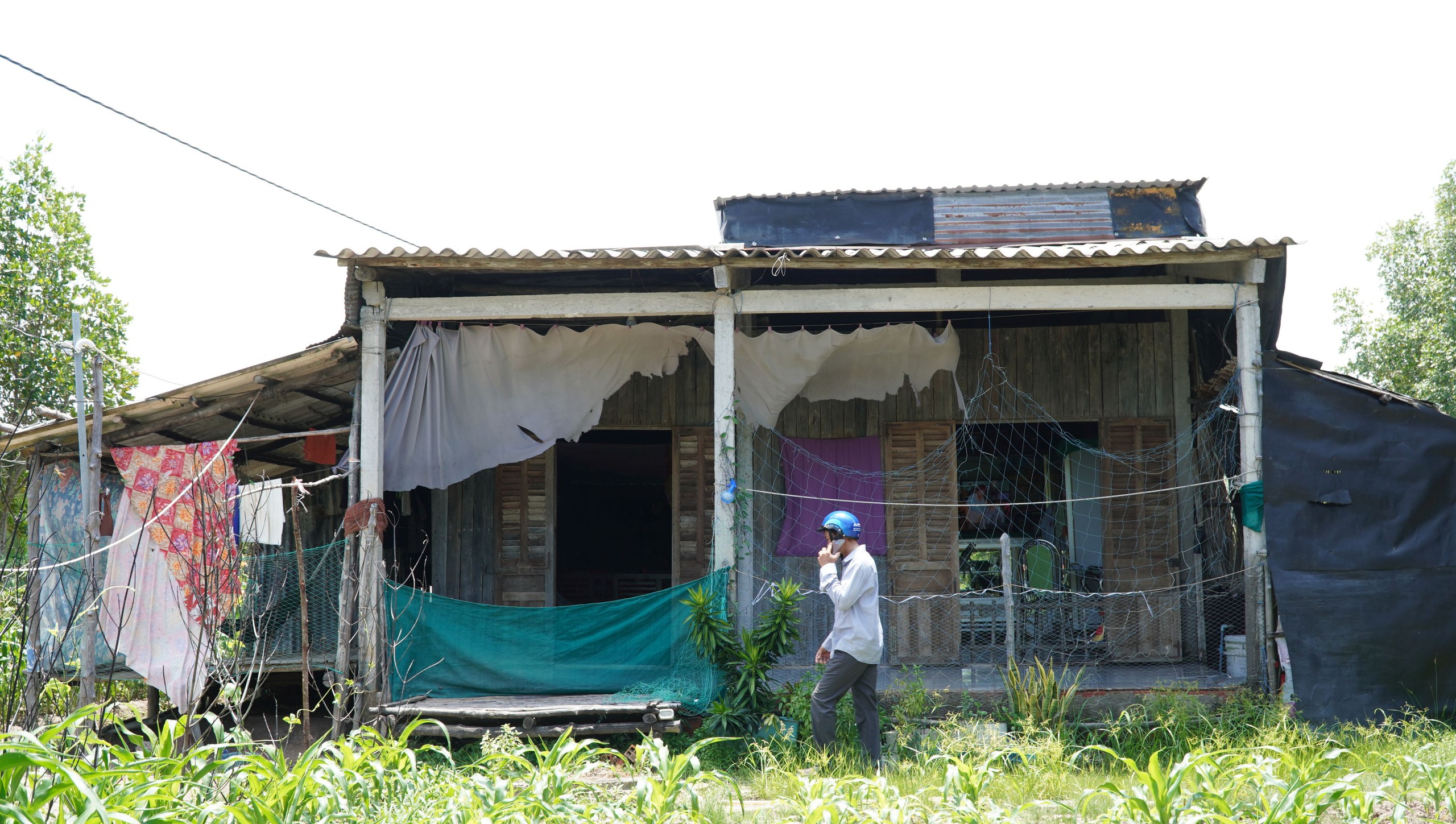 Cà Mau ưu tiên xây dựng kè ở những khu vực xung yếu chống sạt lở- Ảnh 2. Cà Mau ưu tiên xây dựng kè ở những khu vực xung yếu chống sạt lở- Ảnh 2.