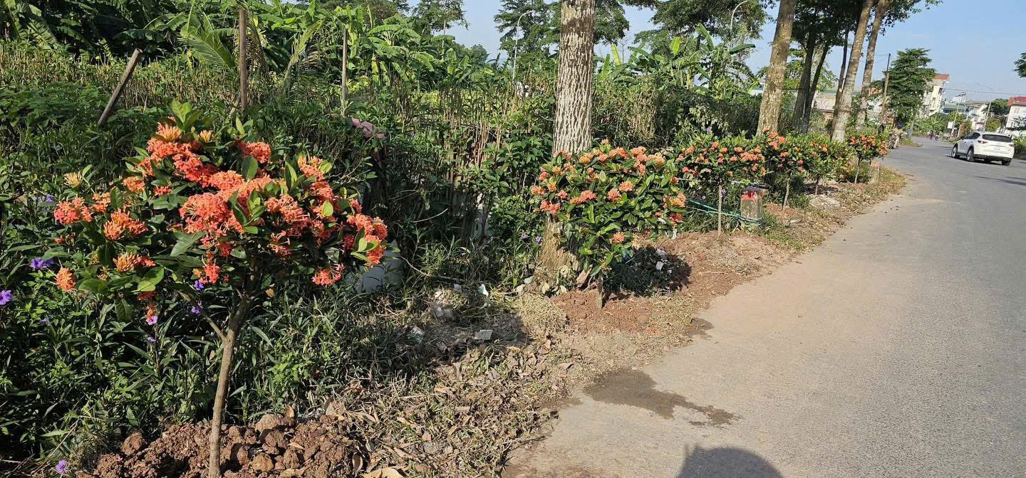 H&agrave; Nội đẹp từ những điều b&igrave;nh dị, văn minh- Ảnh 16.