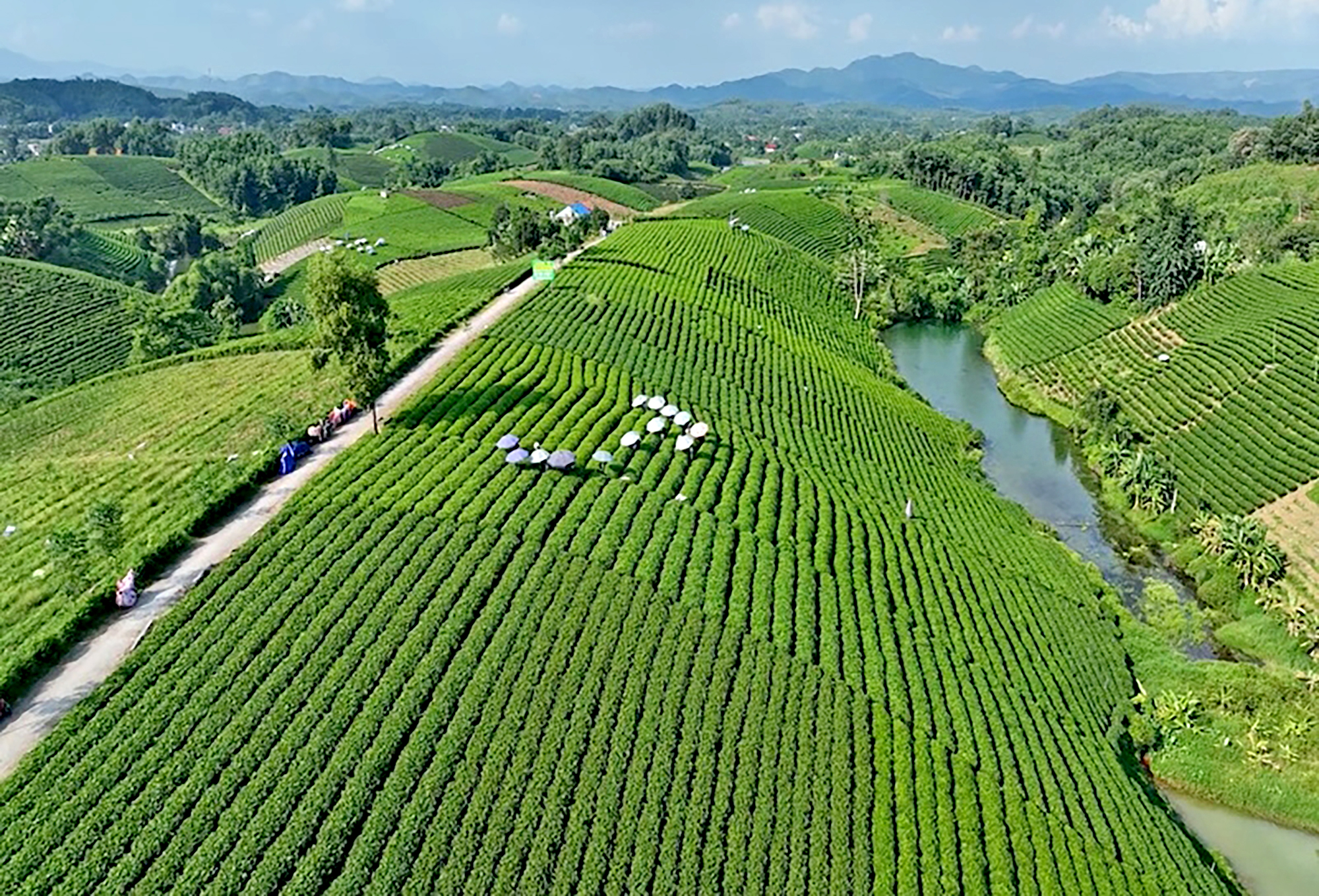 Du lịch thể thao thực sự là "kho báu"?- Ảnh 2.
