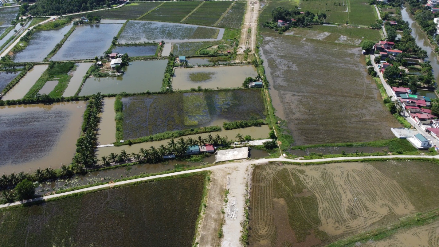 Thiếu vốn, vướng mặt bằng, dự &aacute;n đường 460 tỷ đồng ở Thanh H&oacute;a phải tạm dừng thi c&ocirc;ng- Ảnh 1.