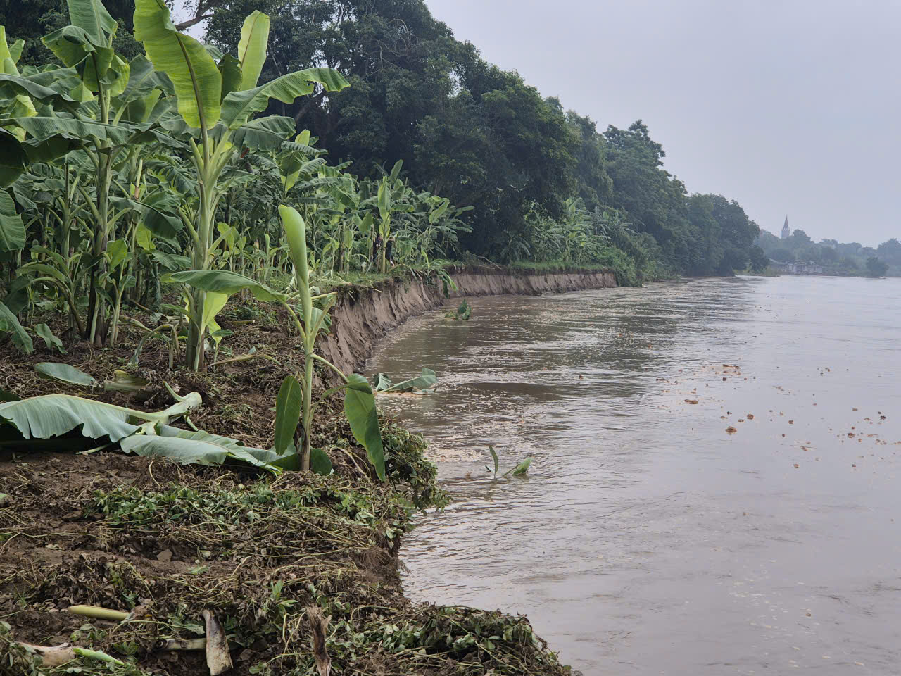 Nguy&ecirc;n nh&acirc;n ban đầu vụ sạt lở đ&ecirc; tả s&ocirc;ng Hồng ở Ph&uacute; Thọ- Ảnh 2.