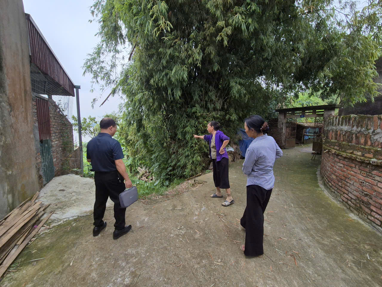 Nguy&ecirc;n nh&acirc;n ban đầu vụ sạt lở đ&ecirc; tả s&ocirc;ng Hồng ở Ph&uacute; Thọ- Ảnh 1.